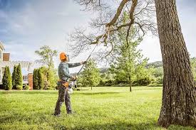 How Our Tree Care Process Works  in  Piney Green, NC